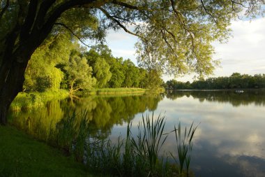 Lake in Ketrzyn clipart