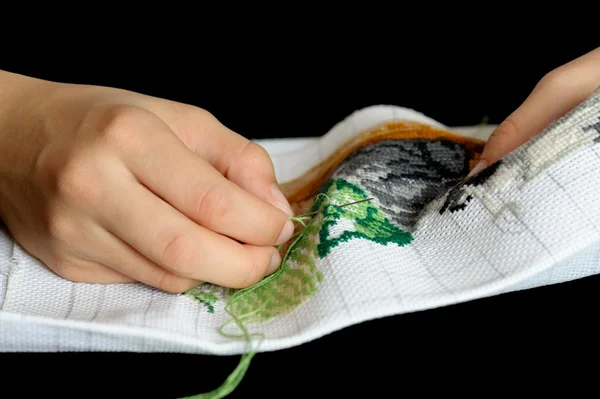 Embroidery — Stock Photo, Image