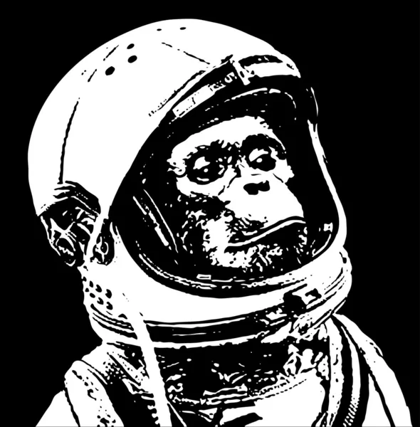 Astronaut schimpans — Stock vektor