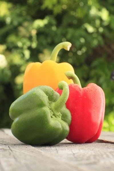 Mokré papriky na zahradní stůl — Stock fotografie