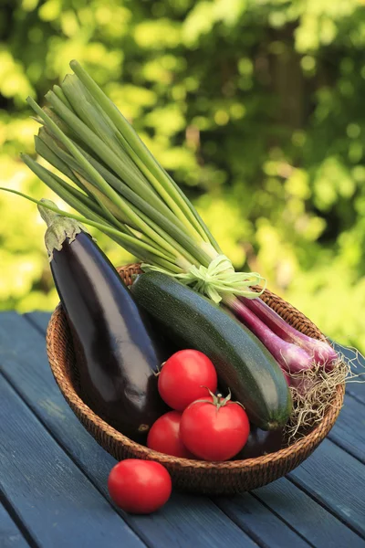 Kleurrijke groenten regeling — Stockfoto