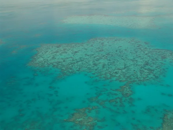 Büyük Set Resifi — Stok fotoğraf