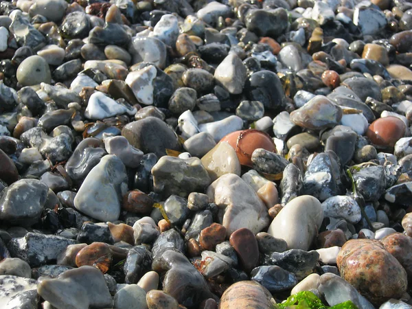 Pedras coloridas molhadas — Fotografia de Stock