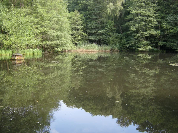 Reflectie in natuurreservaat — Stockfoto