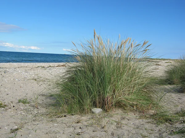 Playa y cielo en el mar Báltico Fotos de stock libres de derechos