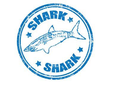 Grunge lastik damgası ve iç yazılı sözcük köpekbalığı köpekbalığı balık