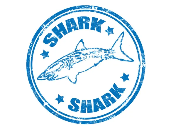 Grunge sello de goma de un pez tiburón y la palabra tiburón escrito en el interior — Vector de stock