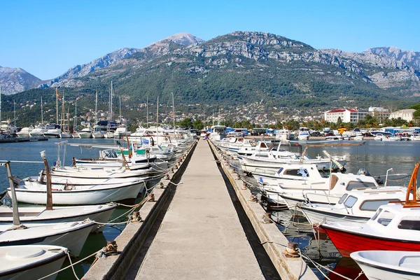 Stock image Parking boats and yachts