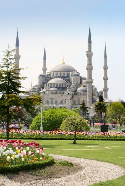 The Blue Mosque clipart