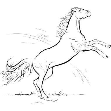 Drawing black and white horse jump clipart