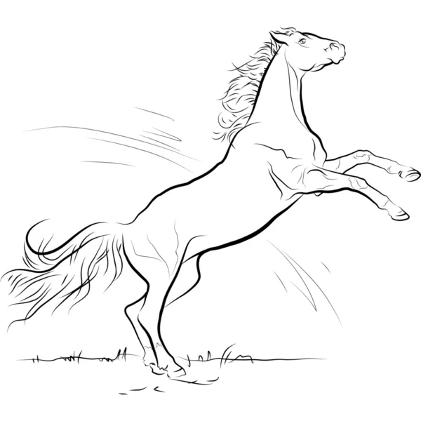 Dibujo salto caballo blanco y negro — Vector de stock