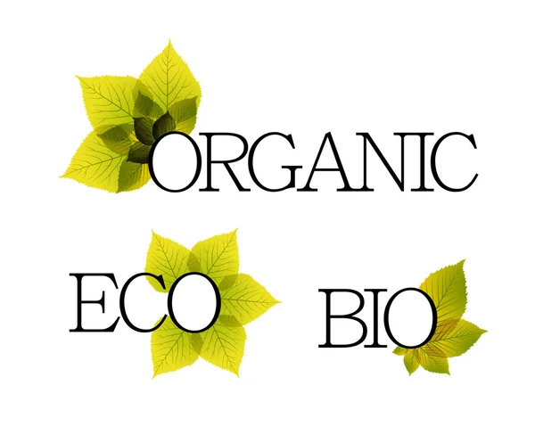 Bio, bio et écolabels avec des éléments floraux — Image vectorielle
