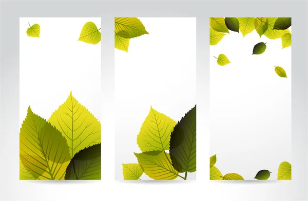Bandeiras verticais naturais frescas com folhas — Vetor de Stock