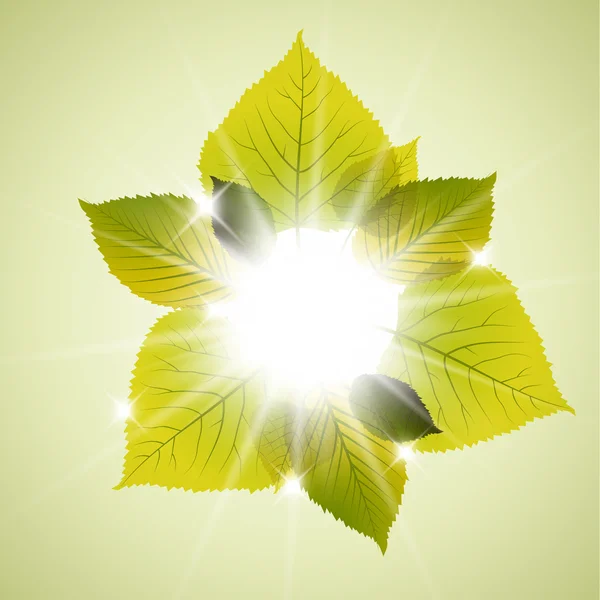Lente zonnige leafs abstracte achtergrond — Stockvector