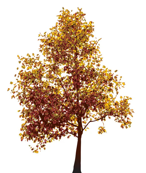 Colorido árbol de otoño — Vector de stock