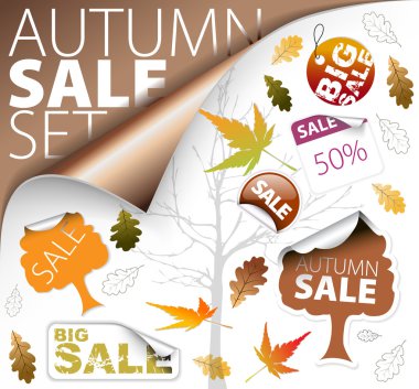 Set of autumn discount tickets, labels, stamps, stickers clipart