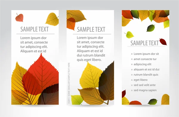 Banderas verticales naturales frescas de otoño con hojas — Vector de stock