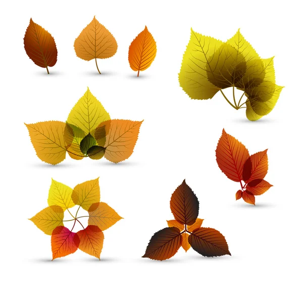 Éléments foliaires abstraits automne — Image vectorielle