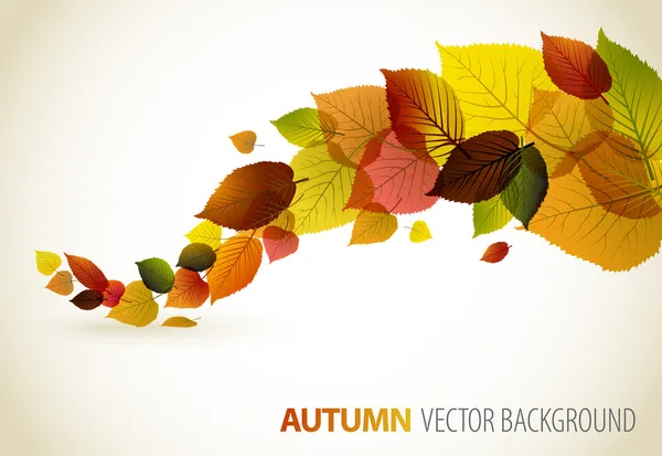 Podzim abstraktní květinové pozadí — Stockový vektor
