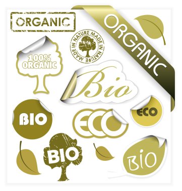 Set of vector bio, eco, organic elements clipart