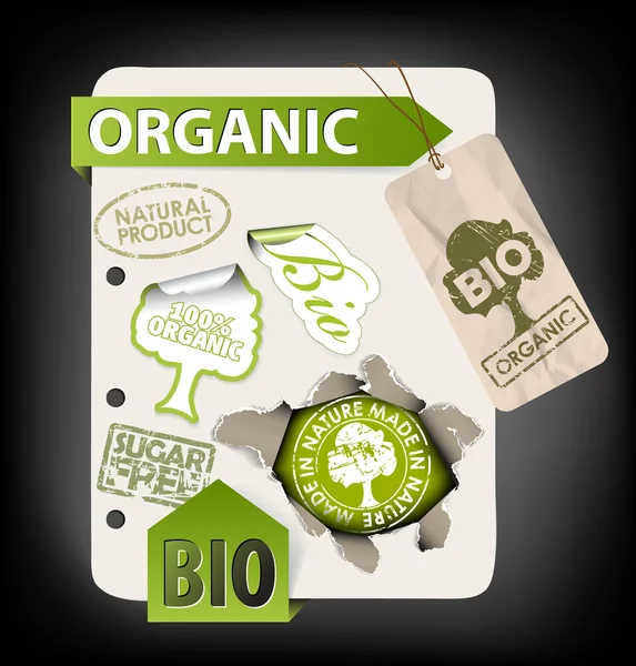 Conjunto de bio, eco, elementos orgánicos — Vector de stock