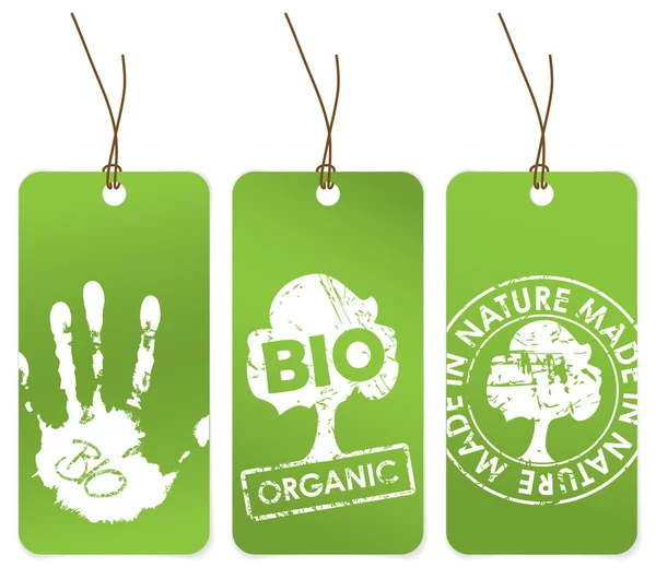Ensemble de trois étiquettes vertes pour bio — Image vectorielle