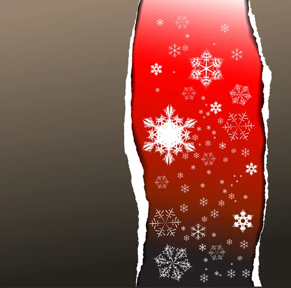 Tarjeta de Navidad con copos de nieve — Vector de stock