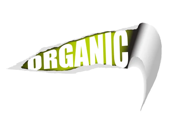 Cartaz orgânico de papel rasgado vetorial — Vetor de Stock