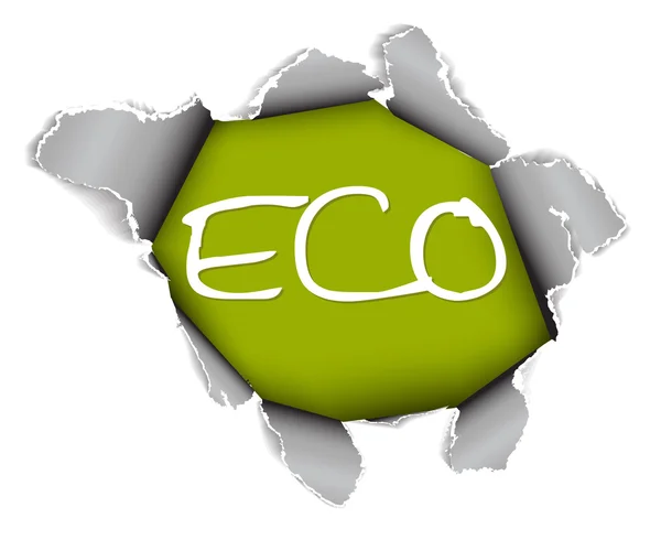 Elemento ecologico organico - Foro nel foglio di carta — Vettoriale Stock