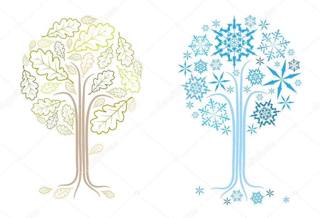 vector oak tree in different seasons