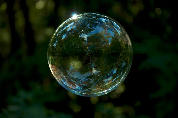 stock image Soap bubble on the dark green background