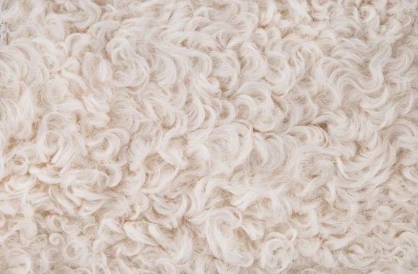 Bianco pelliccia texture sfondo Immagine Stock