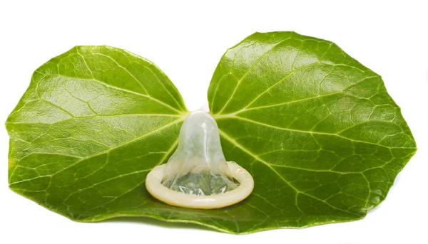 Condoom op een groen blad — Stockfoto
