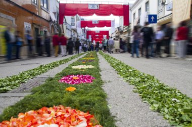 Alayı bir meşale çiçek