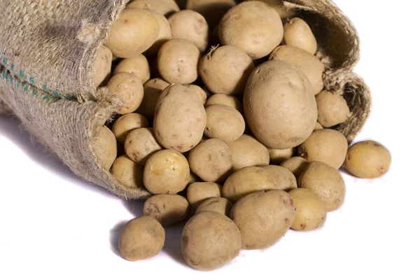 Мешок картошки — стоковое фото