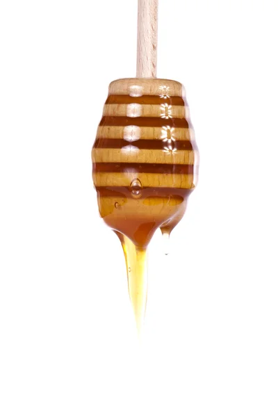 滴る蜂蜜 — ストック写真