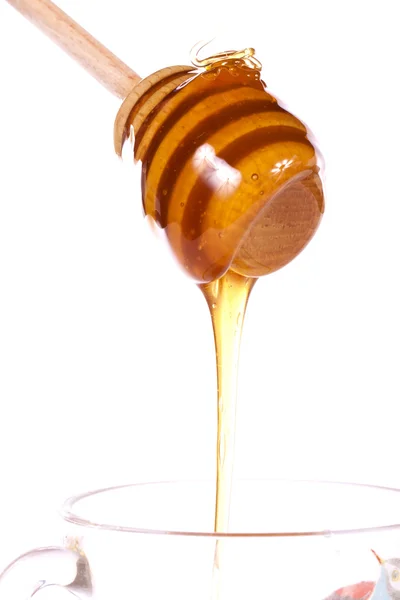 蜂蜜ディッパー — ストック写真
