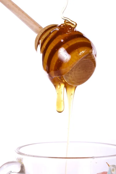 Honung strömstare — Stockfoto