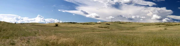 Dry Alentejo landscape — Stock Photo, Image