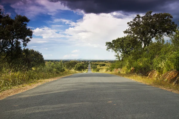 stock image Long road