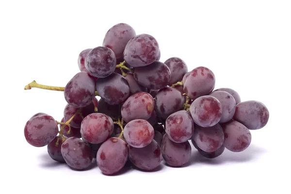 Червоне вино винограду — стокове фото