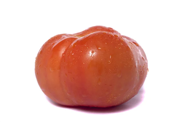 흰 토마토 — 스톡 사진