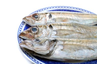 Horse mackerel clipart