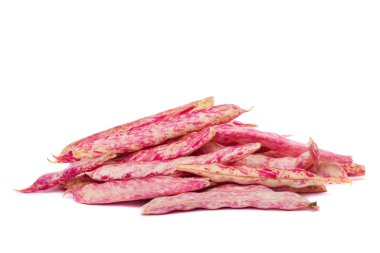 borlotti fasulye