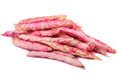 borlotti fasulye