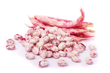 Borlotti beans clipart