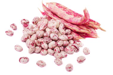 borlotti fasulye