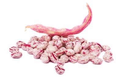 borlotti fasulye