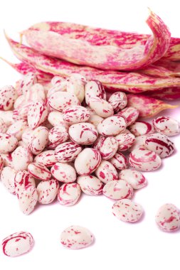 borlotti fasulye