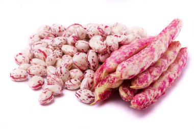 borlotti fasulye